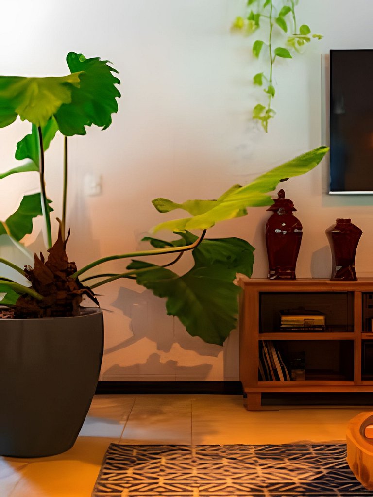Casa amueblada en Rio Tavares | WeHome