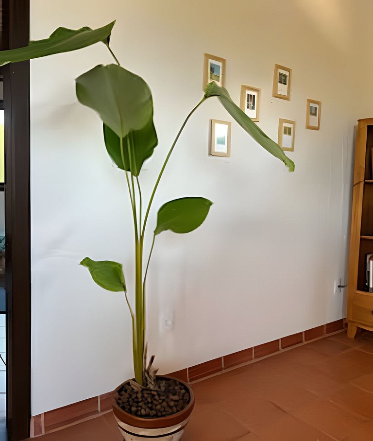 Casa mobiliada em Rio Tavares | WeHome